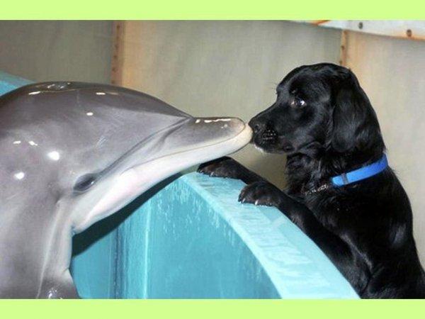 S'il est sur le cou alors vous êtes sûr du coup !!