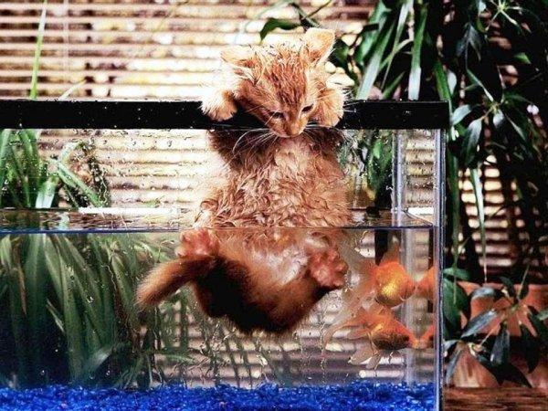 S'il est sur le cou alors vous êtes sûr du coup !!