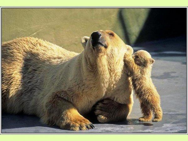 S'il est sur le cou alors vous êtes sûr du coup !!