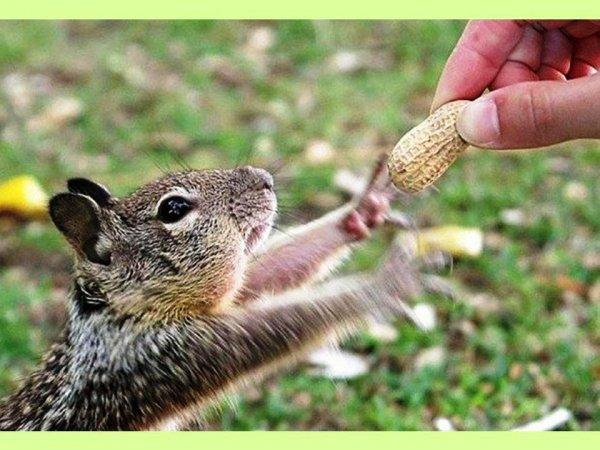 S'il est sur le cou alors vous êtes sûr du coup !!