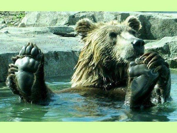 S'il est sur le cou alors vous êtes sûr du coup !!