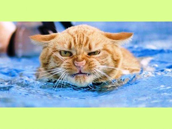 S'il est sur le cou alors vous êtes sûr du coup !!