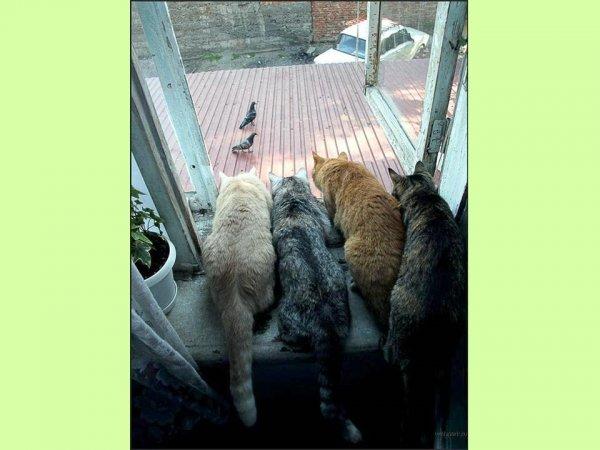 S'il est sur le cou alors vous êtes sûr du coup !!