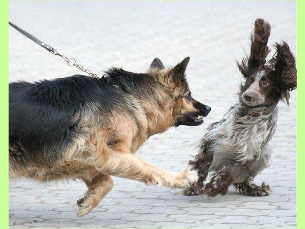 S'il est sur le cou alors vous êtes sûr du coup !!