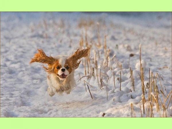 S'il est sur le cou alors vous êtes sûr du coup !!