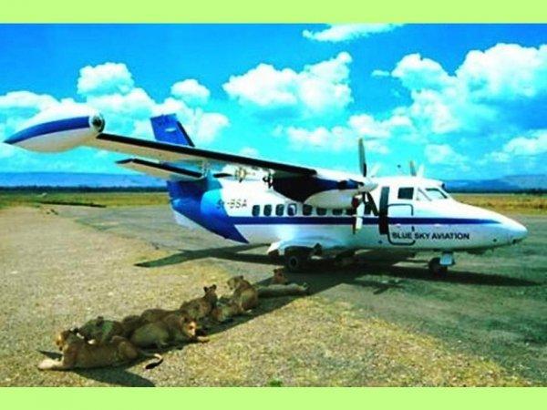 S'il est sur le cou alors vous êtes sûr du coup !!