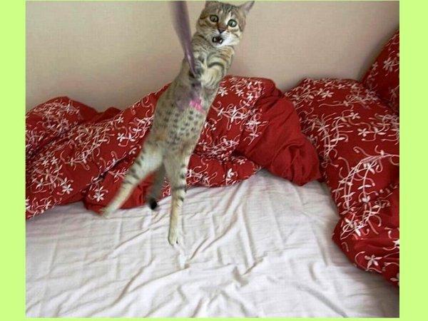 S'il est sur le cou alors vous êtes sûr du coup !!