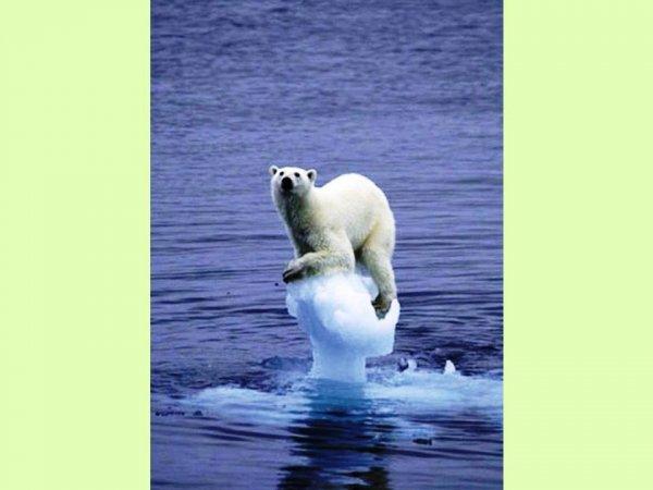 S'il est sur le cou alors vous êtes sûr du coup !!