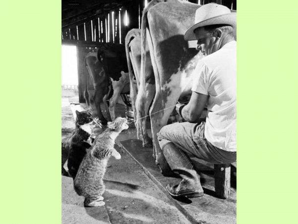 S'il est sur le cou alors vous êtes sûr du coup !!