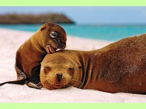 S'il est sur le cou alors vous êtes sûr du coup !!