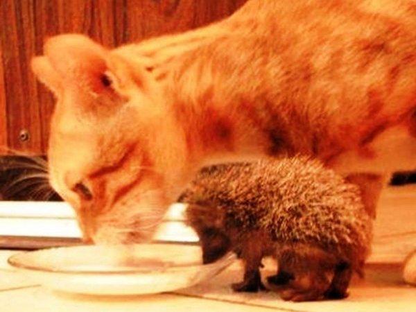 S'il est sur le cou alors vous êtes sûr du coup !!