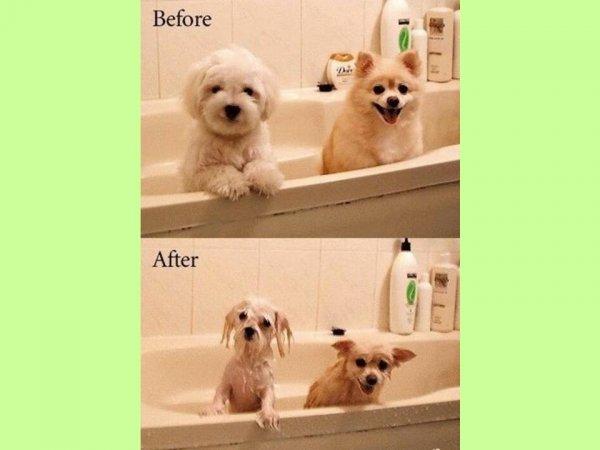 S'il est sur le cou alors vous êtes sûr du coup !!