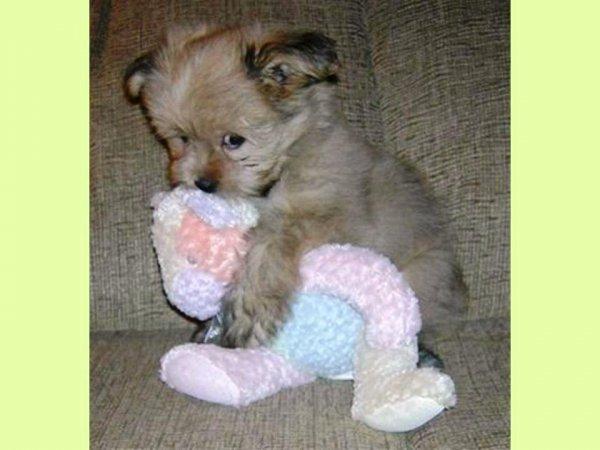 S'il est sur le cou alors vous êtes sûr du coup !!