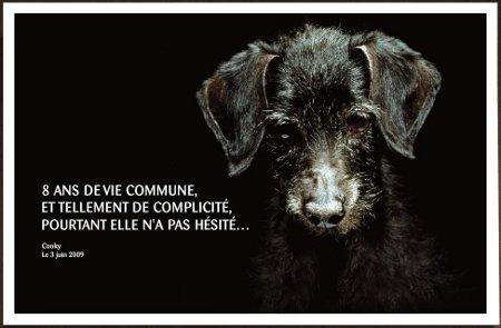 Un trop fréquent crime estival !