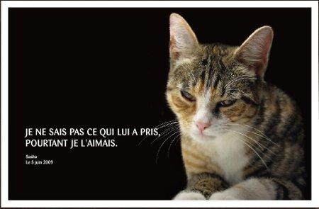 Un trop fréquent crime estival !