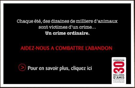 Un trop fréquent crime estival !