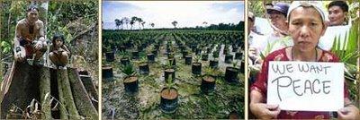 Forêts du Sarawak : le BMF dénonce