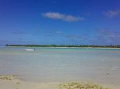 Fantaisie pour piano, choeur orchestre opus Beethoven, l'élan vers joie