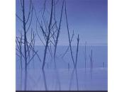 Susanne Juul Liliana Lazar éditrice auteure face