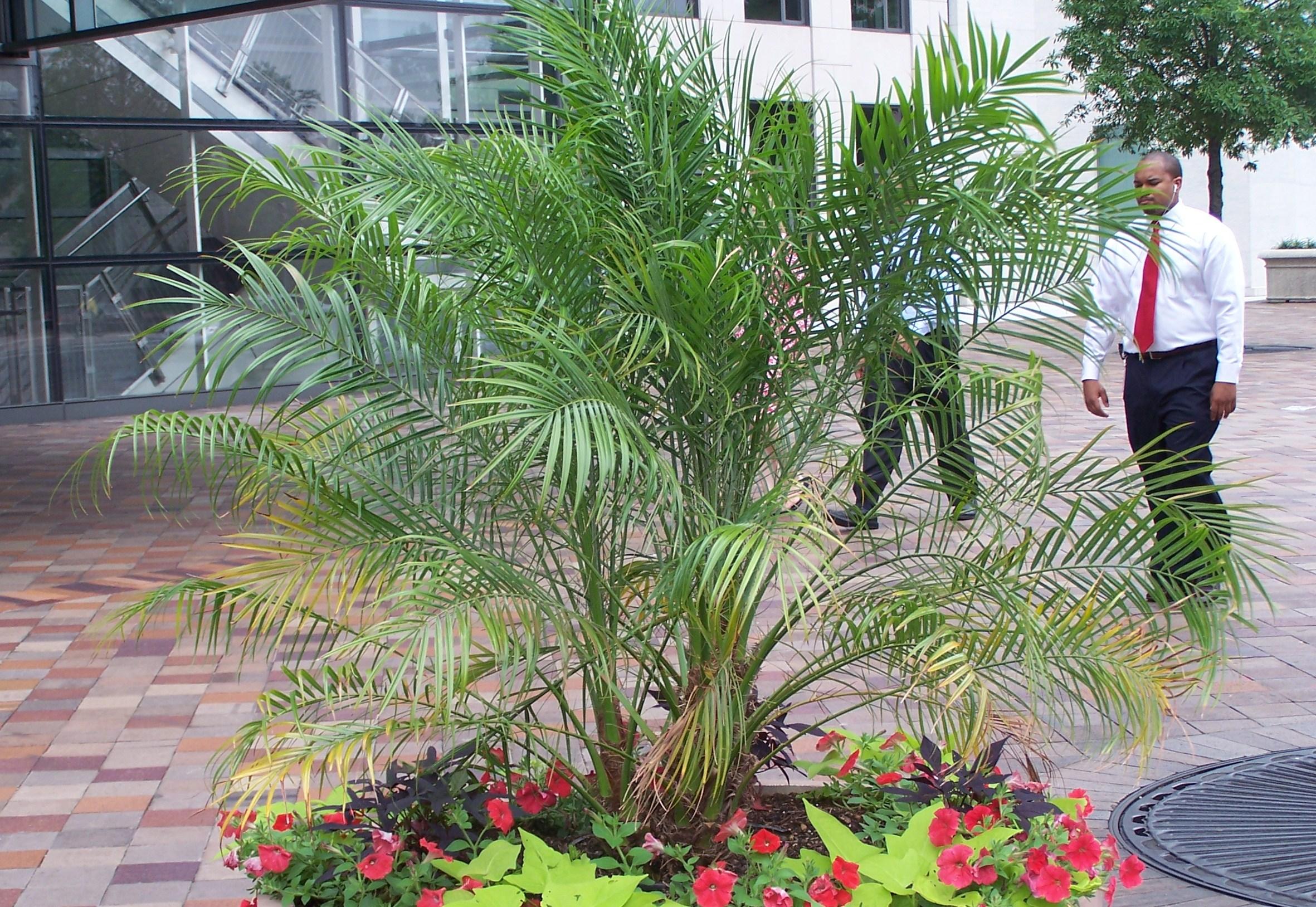  Visitons ensemble les États-Unis