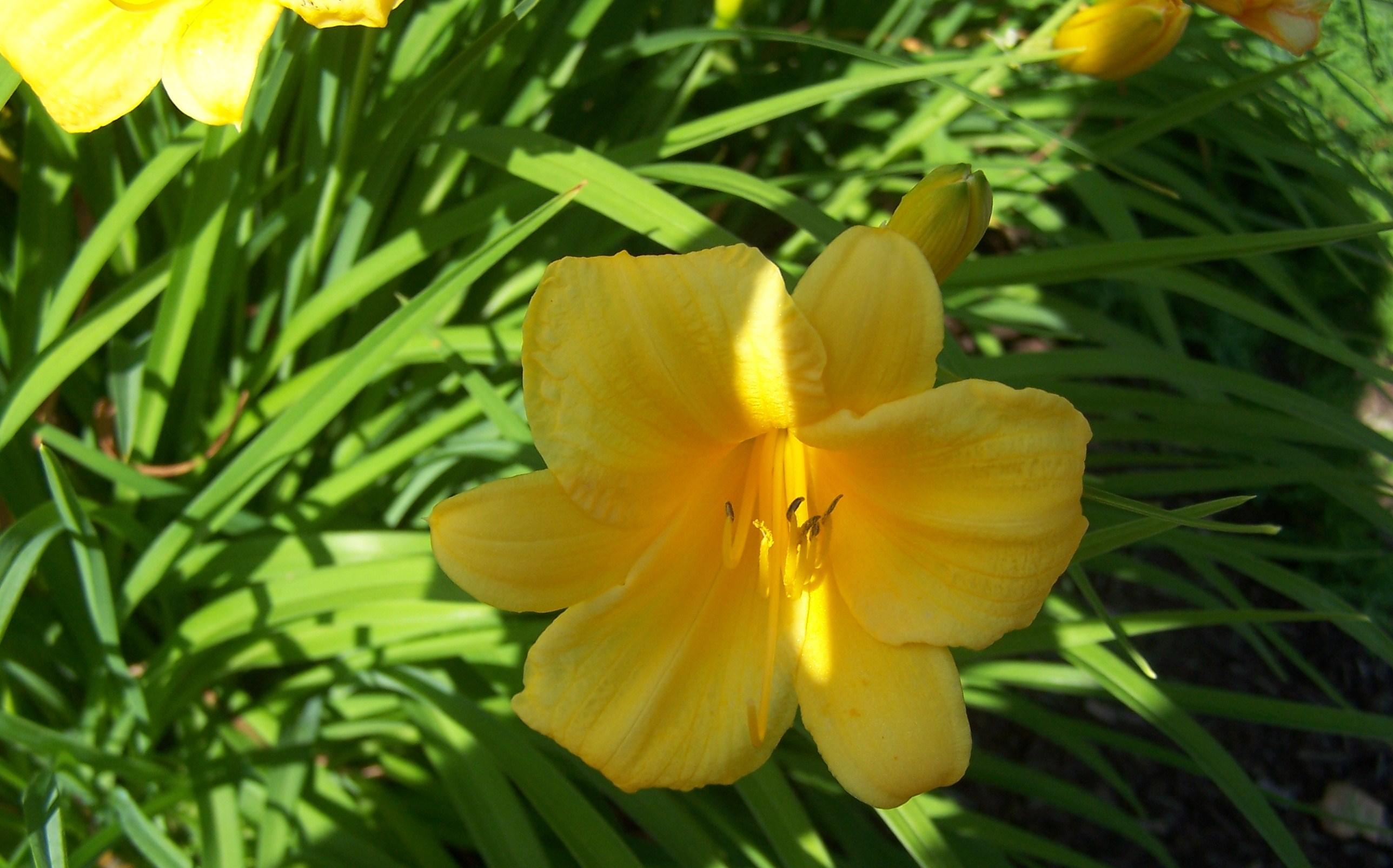  Visitons ensemble les États-Unis