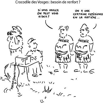 Crocodile des Vosges : besoin de renfort ?