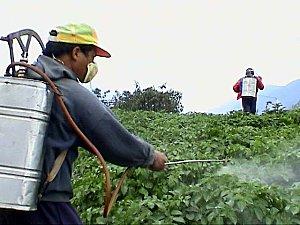 « Les pesticides rendent vraiment malade »