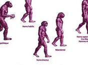 homme Néandertal Nord