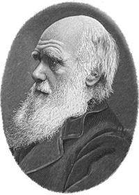 Galilée et Darwin à Saumane de Vaucluse le 28 juin