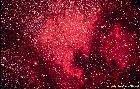La constellation du moment: le Cygne