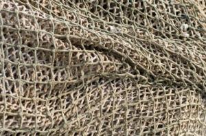 Filet de pêche (illustration)