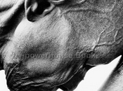 quoi n'ai écrit semaine dernière