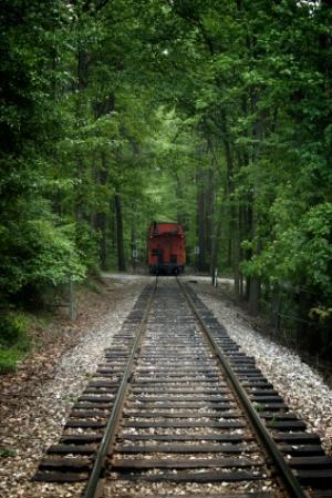Découvrez en images : une femme frôle la mort en se baladant sur des chemins de fer fréquentés train (illustration)