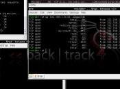 Ubuntu BackTrack