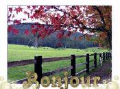 Velouté semoule l'origan, lait