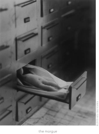 fighting fish stuio black and white image the morgue drawers body corpse