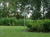 recherche p'tits fruits