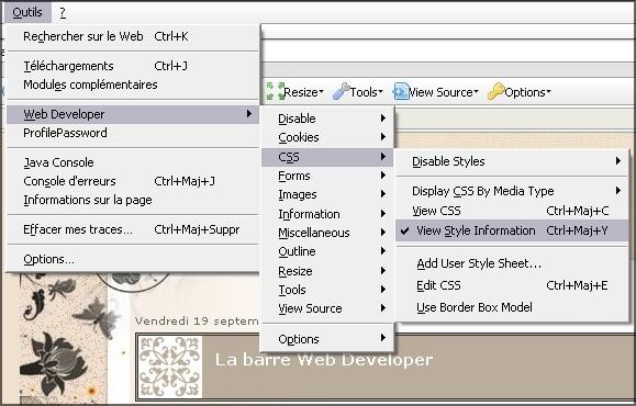 La barre Web Developer (2)