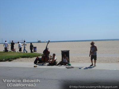 Jane's Corner View - Music Jane's Corner View - Music