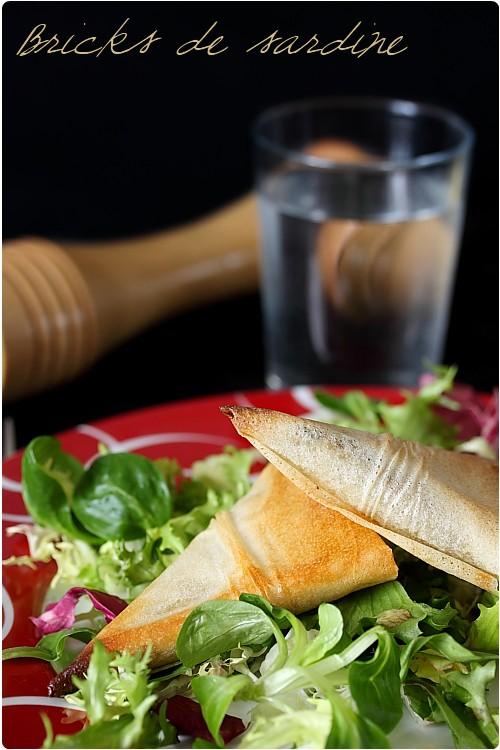 Bricks de sardine