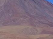 microbes champions survie vivent dans volcan 6000 mètres d'altitude