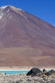 Volcan Atacama