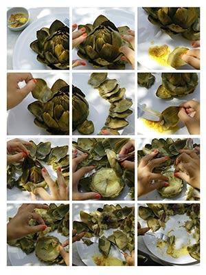 le camus à la vinaigrette Le camus à la vinaigrette