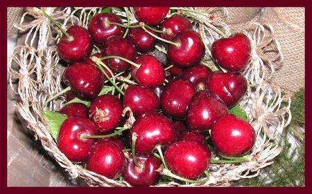 2009_06_23_table_cerises1