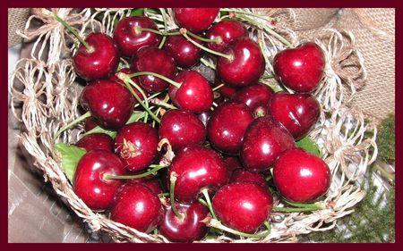 2009_06_23_table_cerises23