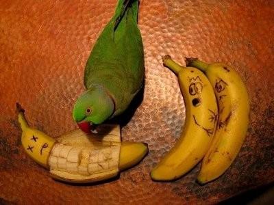 banane.jpg