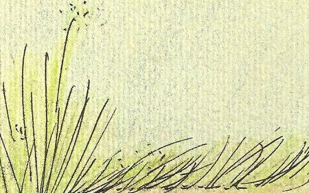 Anna de Sandre - Un régal d'herbes mouillées - Version 2