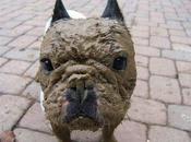 chronique regarde dans glace s'aime trop fort!