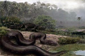 titanoboa
