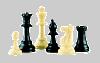 Liste des inscrits au tournoi de jeu d'échecs du 27 juin